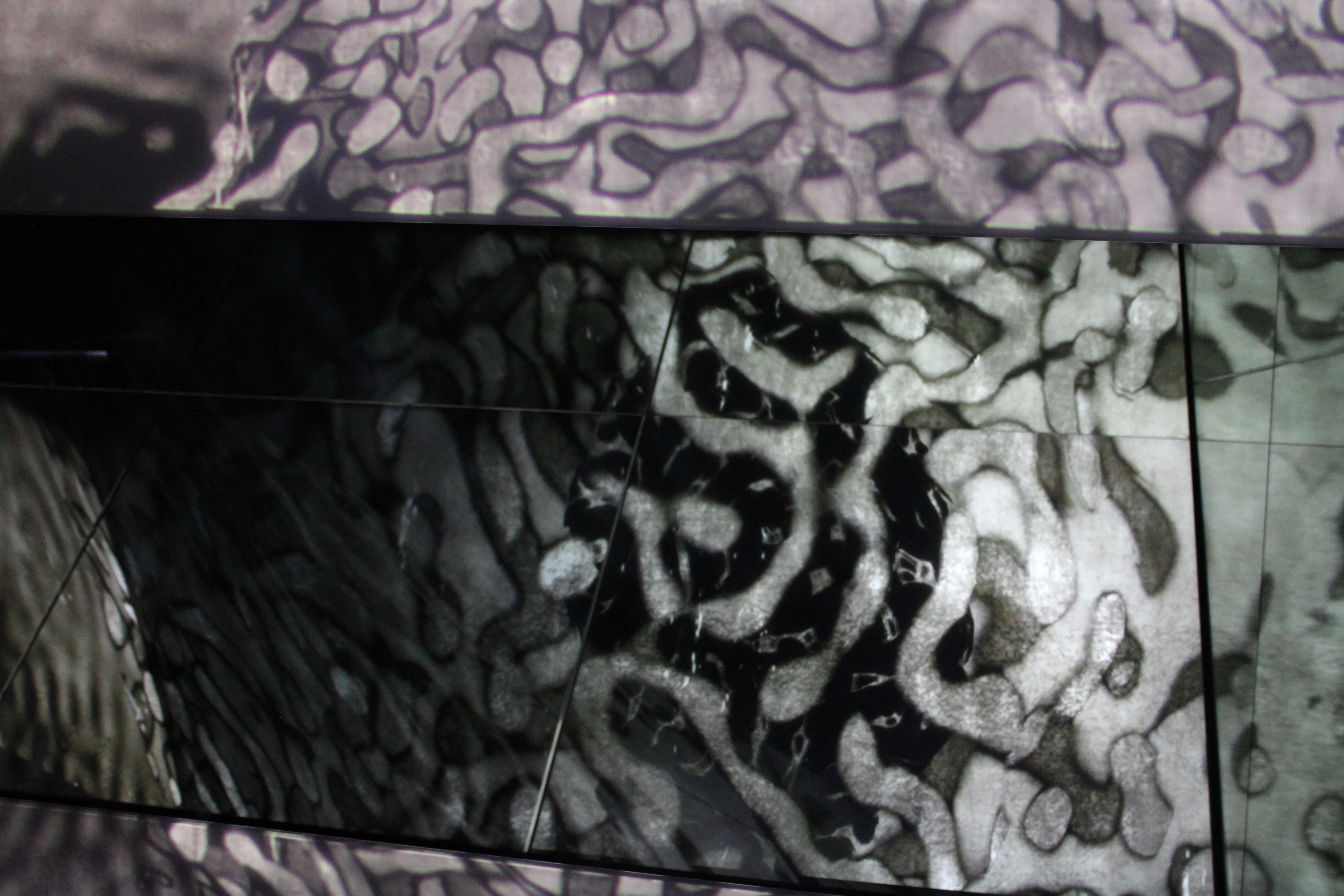 TeamLab wall with illusive black patterns on it